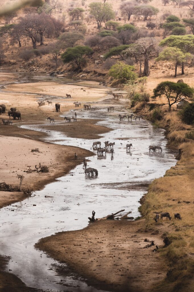 Keňa – Safari a Diani Beach