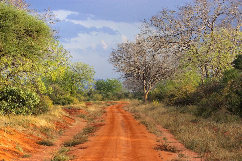 Keňa – Safari a Diani Beach