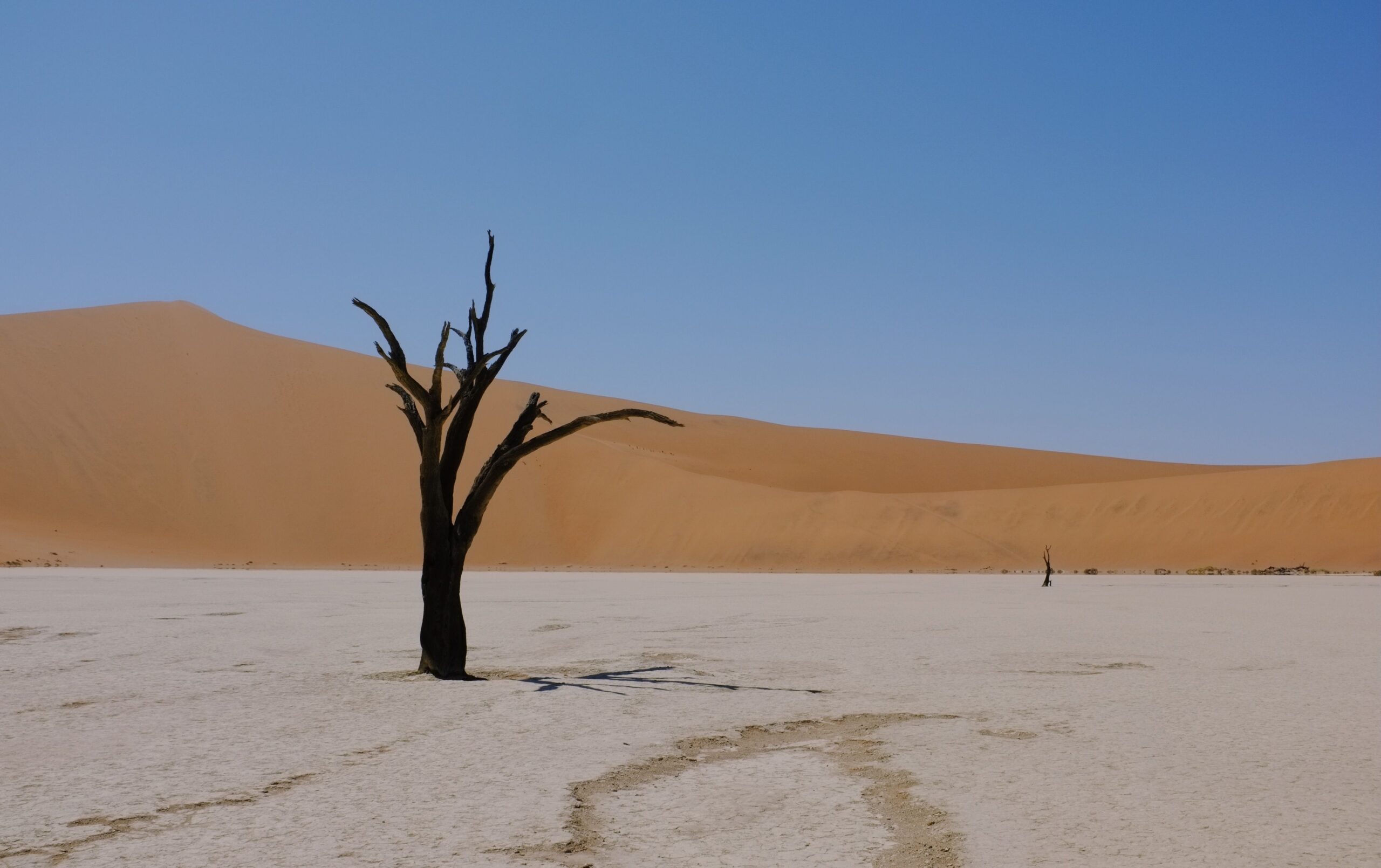 Dead Vlei v Namíbii so suchými stromami, bielym dnom a červenými dunami