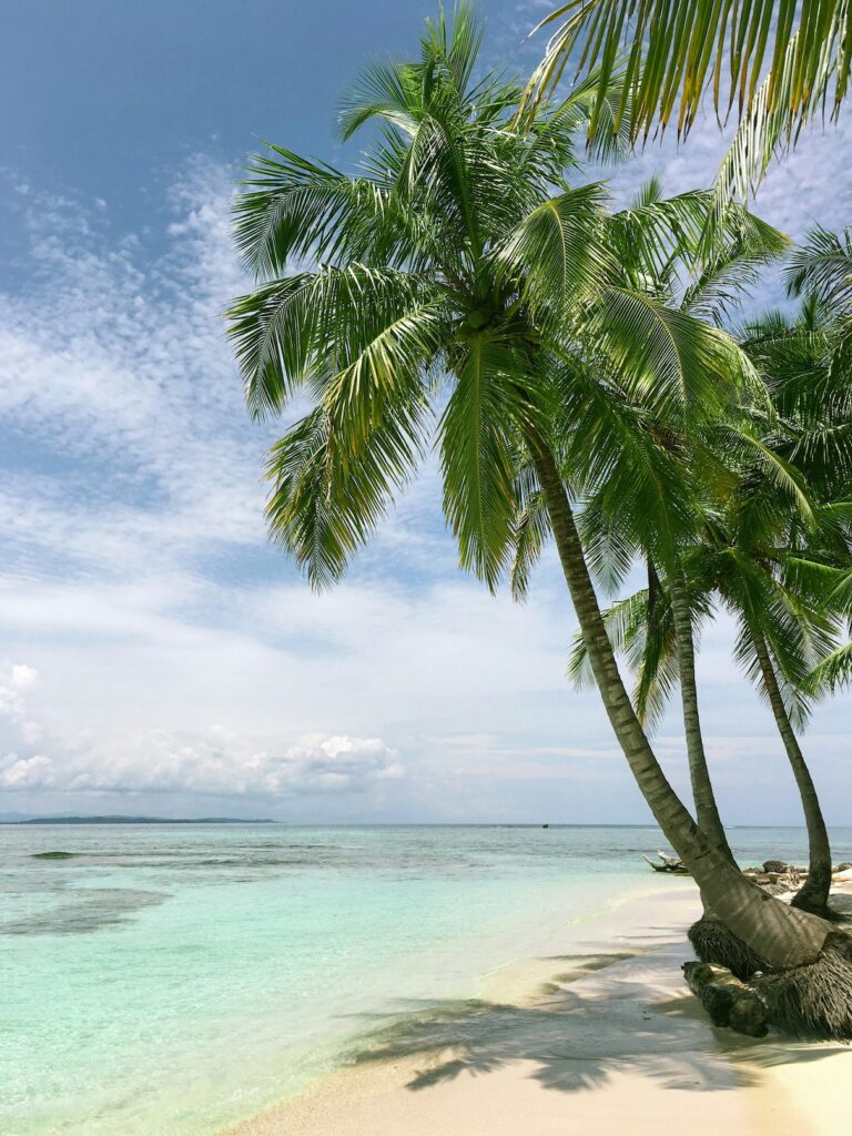 Keňa – Safari a Diani Beach