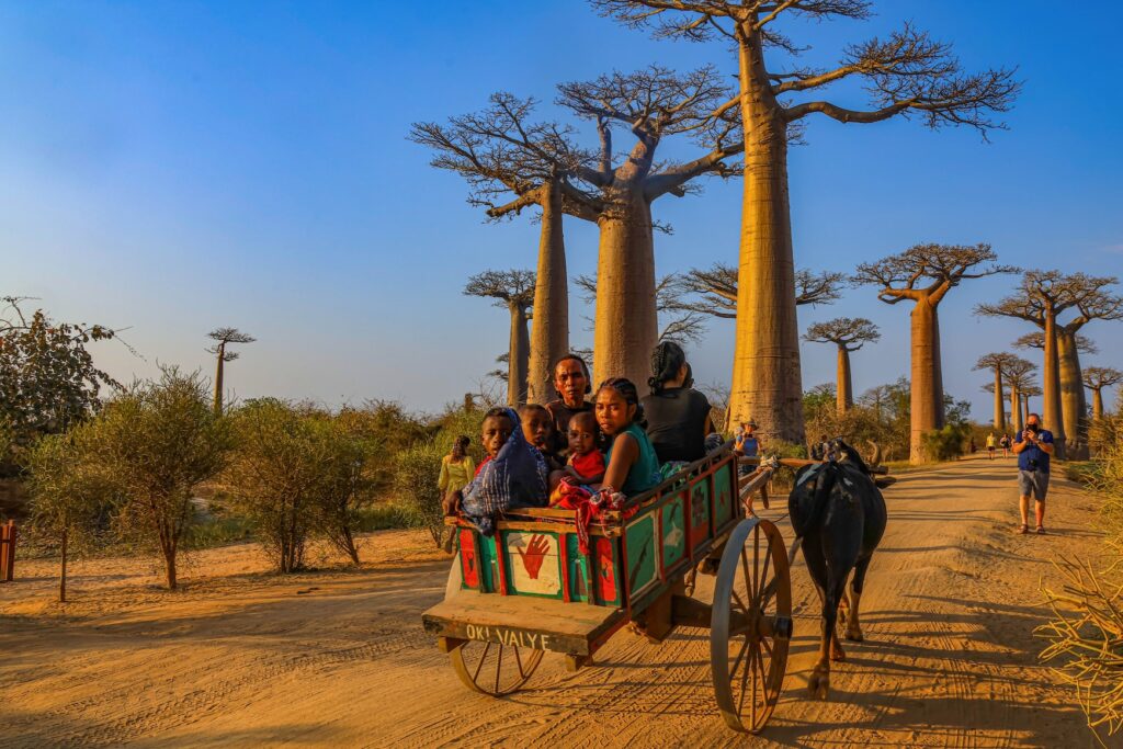 Madagaskar – Divoký sever a tropické ostrovy