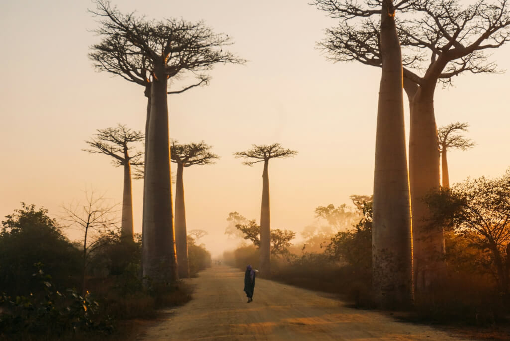 Madagaskar – Divoký sever a tropické ostrovy