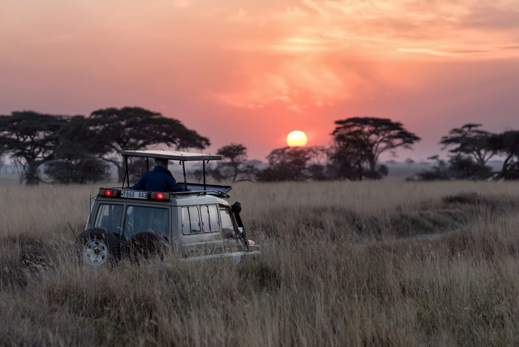 Keňa – Safari a Diani Beach
