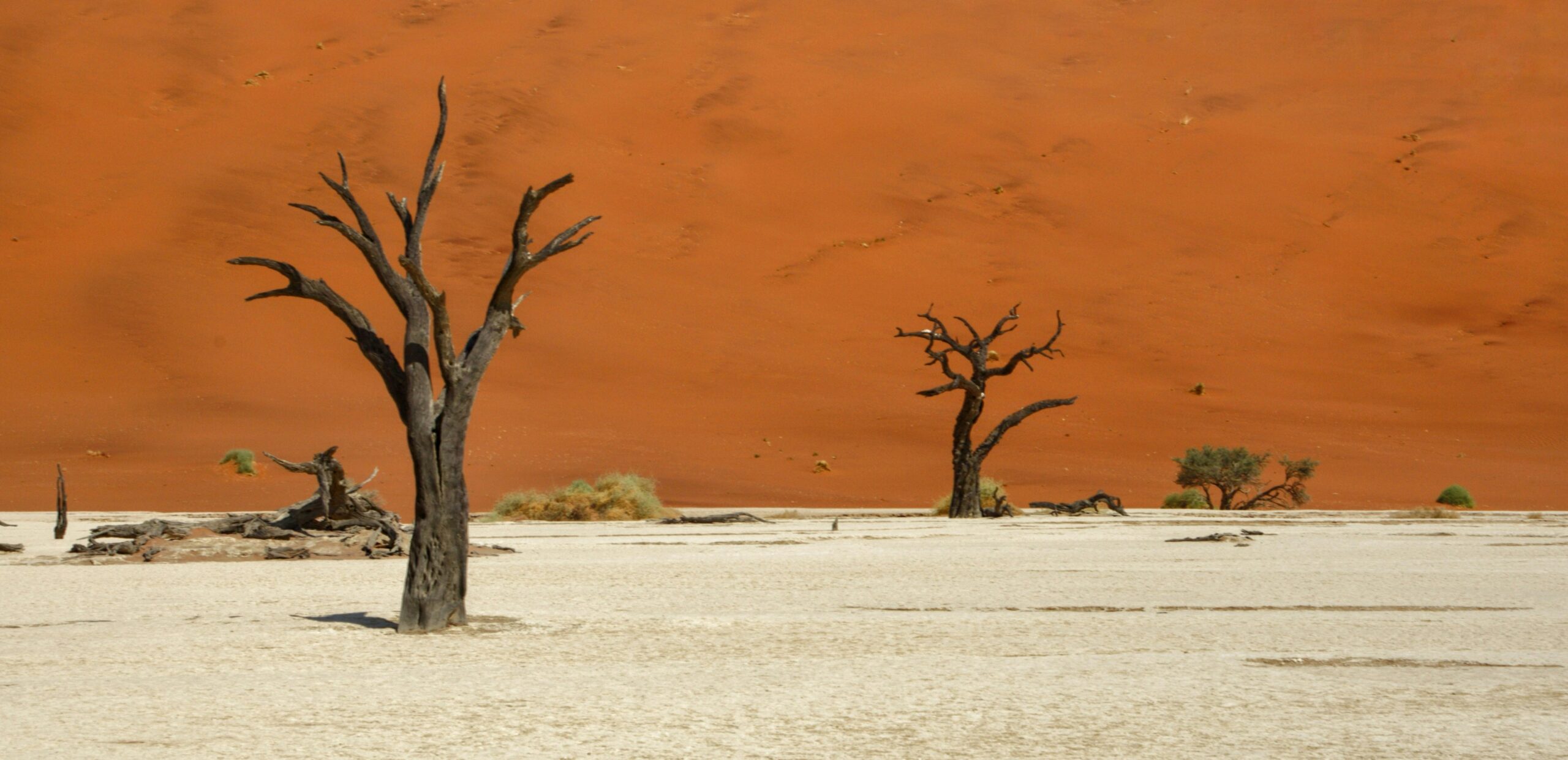 Sossusvlei a Deadvlei: miesto, kde Namíbia vyzerá ako iná planéta