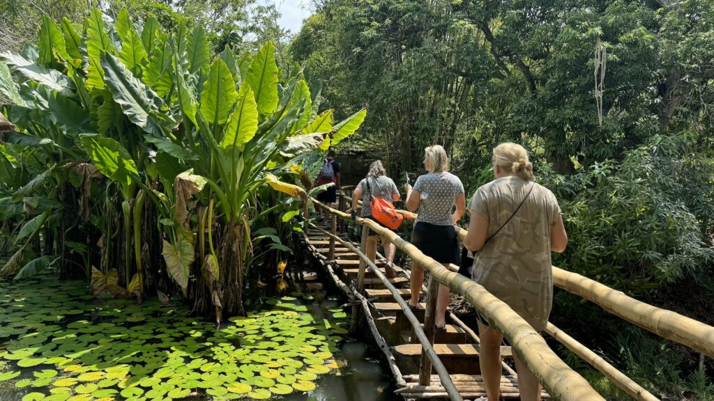 Madagaskar – Divoký sever a tropické ostrovy