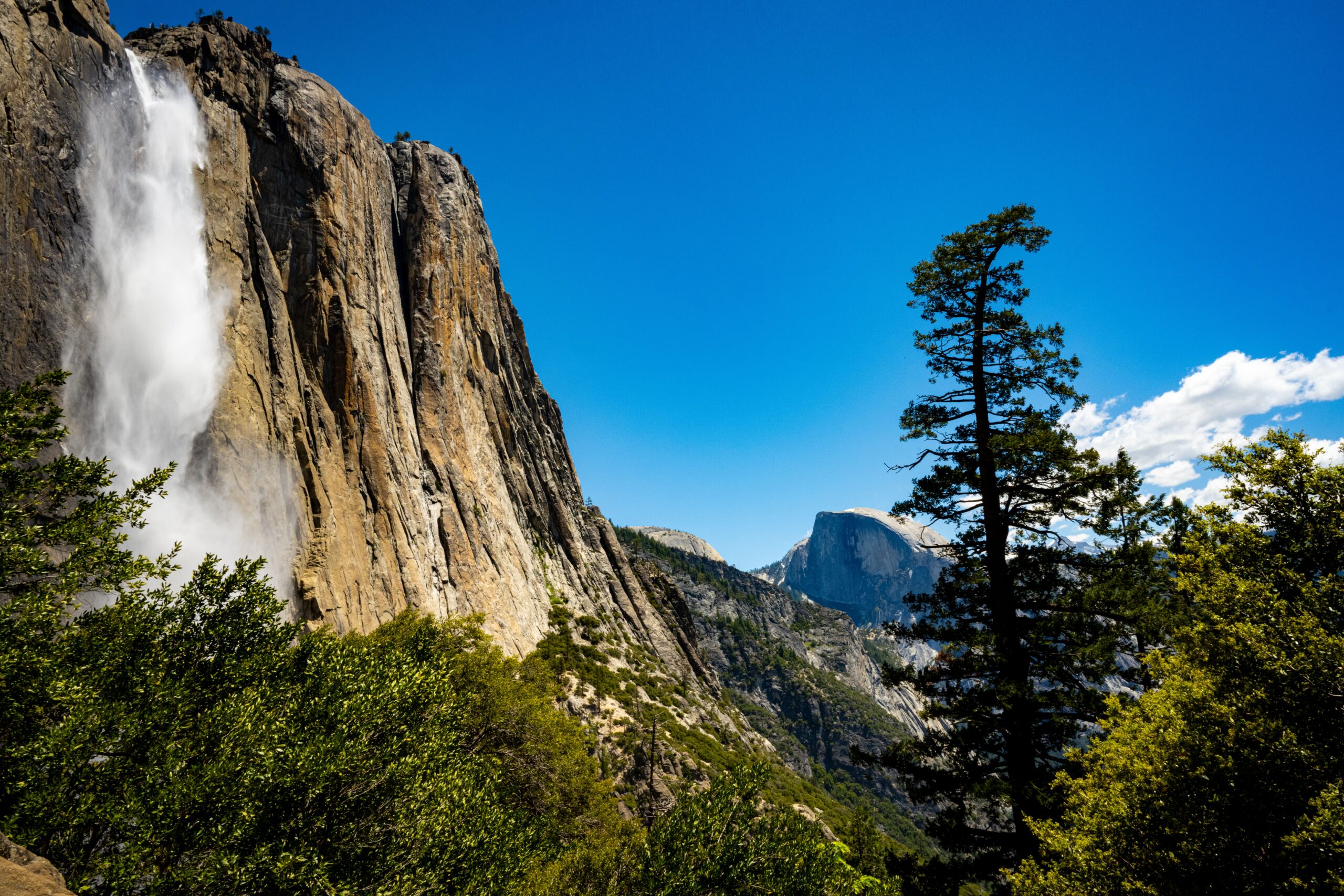 Yosemite National Park v Kalifornii s mohutnými skalnými stenami a borovicami