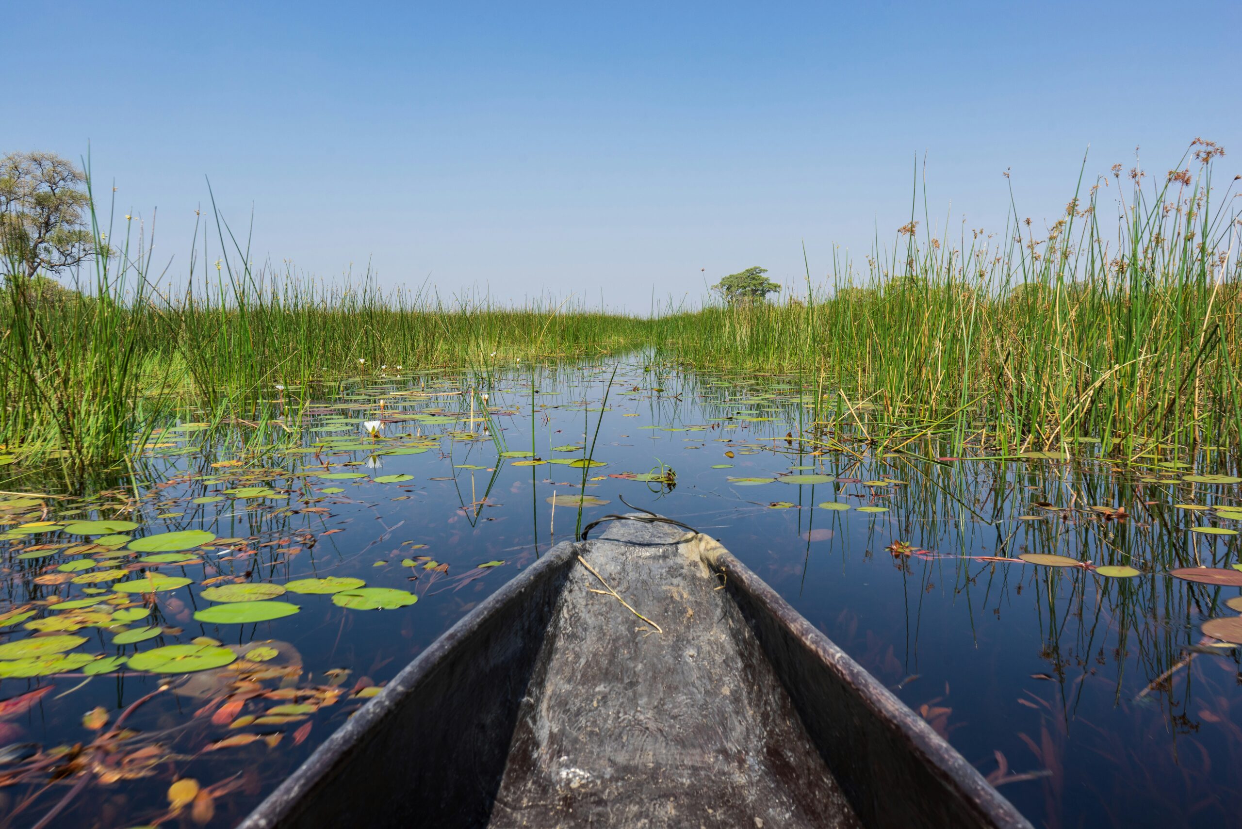 Delta Okavango – rieka, ktorá sa stratí uprostred púšte
