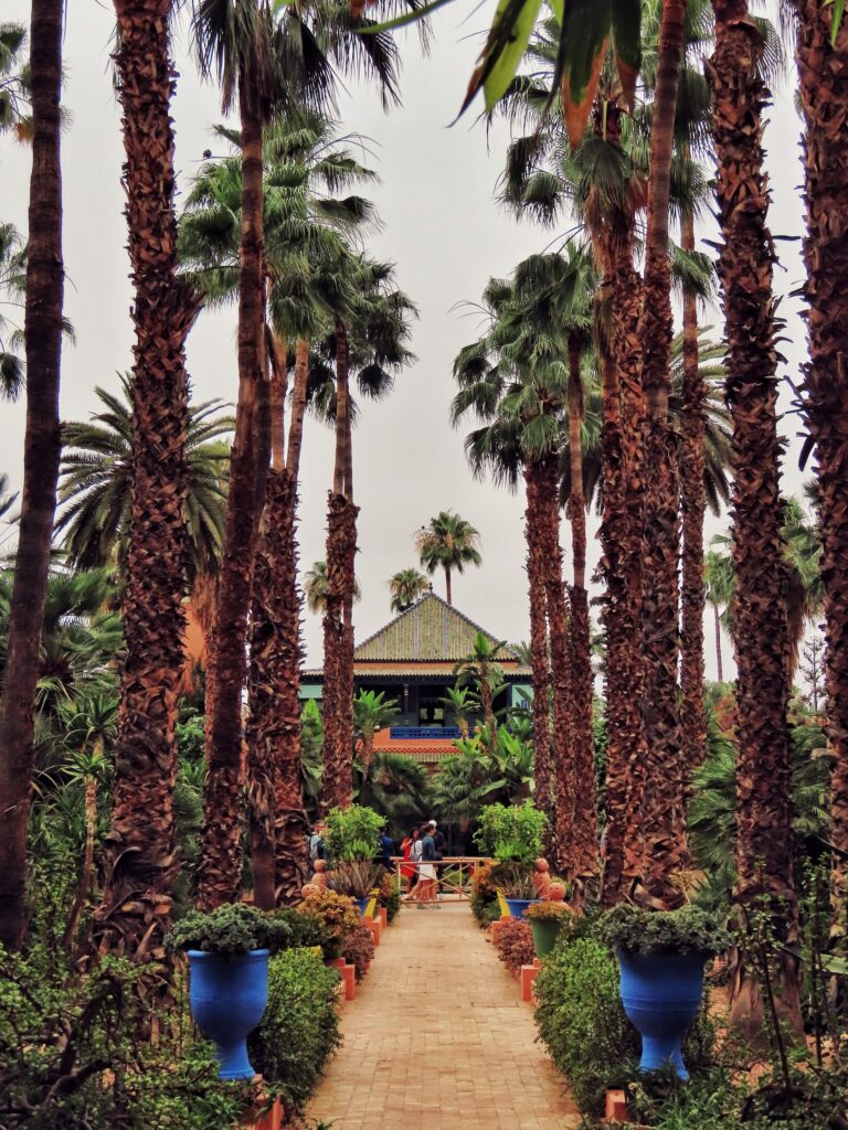Jardin d’Essai du Hamma – zelené srdce Alžíru
